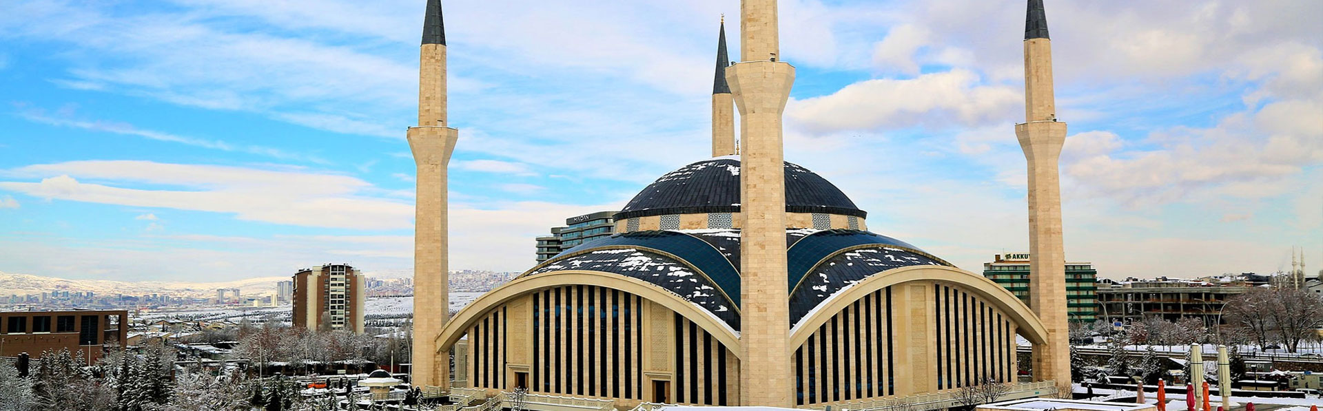 佰麗聯(lián)水漆 多彩涂裝體系